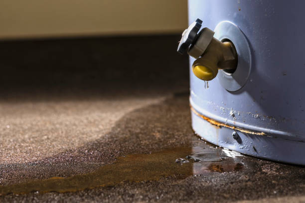 Best Flood restoration services  in The Village Of Indian Hill, OH