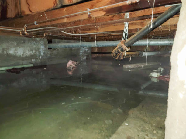 Best Local water damage restoration  in The Village Of Indian Hill, OH