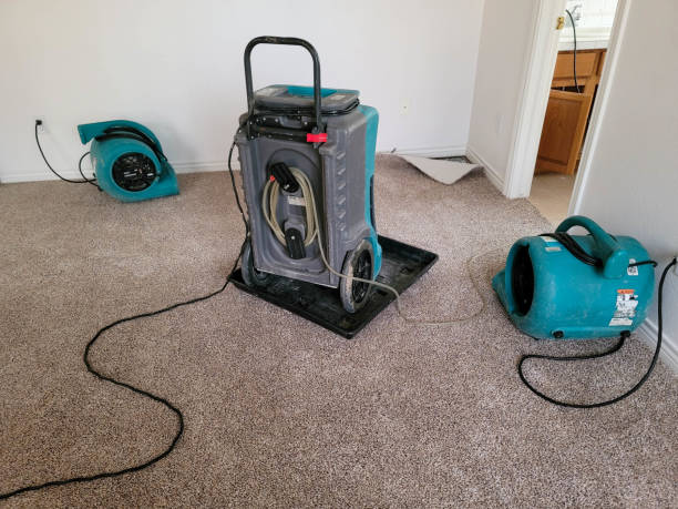 Best Residential water damage restoration  in The Village Of Indian Hill, OH