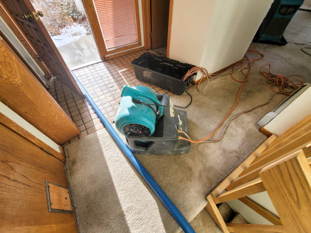Best Mold removal after water damage  in The Village Of Indian Hill, OH