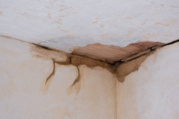 Best Professional water damage repair  in The Village Of Indian Hill, OH