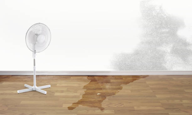 Best Fire Damage Restoration  in The Village Of Indian Hill, OH
