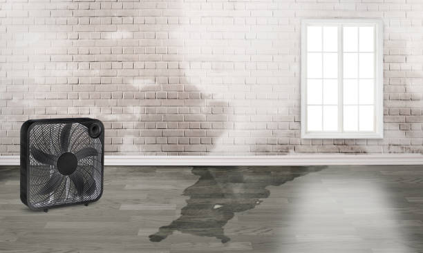 Best Flood damage cleanup  in The Village Of Indian Hill, OH