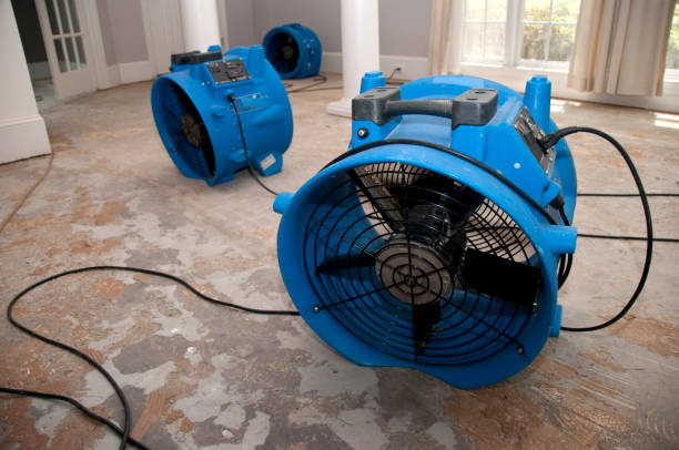 Best 24/7 water damage repair  in The Village Of Indian Hill, OH