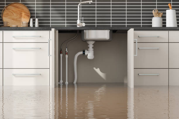 Best Flood damage cleanup  in The Village Of Indian Hill, OH