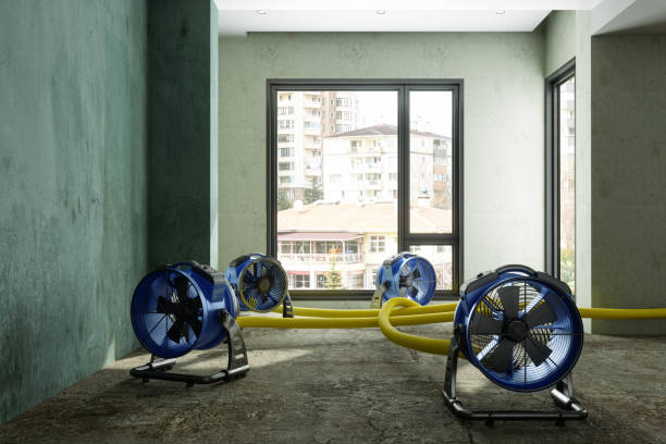 Best Water damage repair service  in The Village Of Indian Hill, OH
